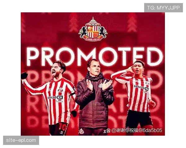 桑德兰从第二滑落中游 升班马后程乏力显体系短板